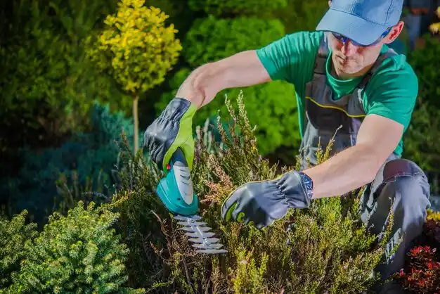 landscaping services Schuylerville